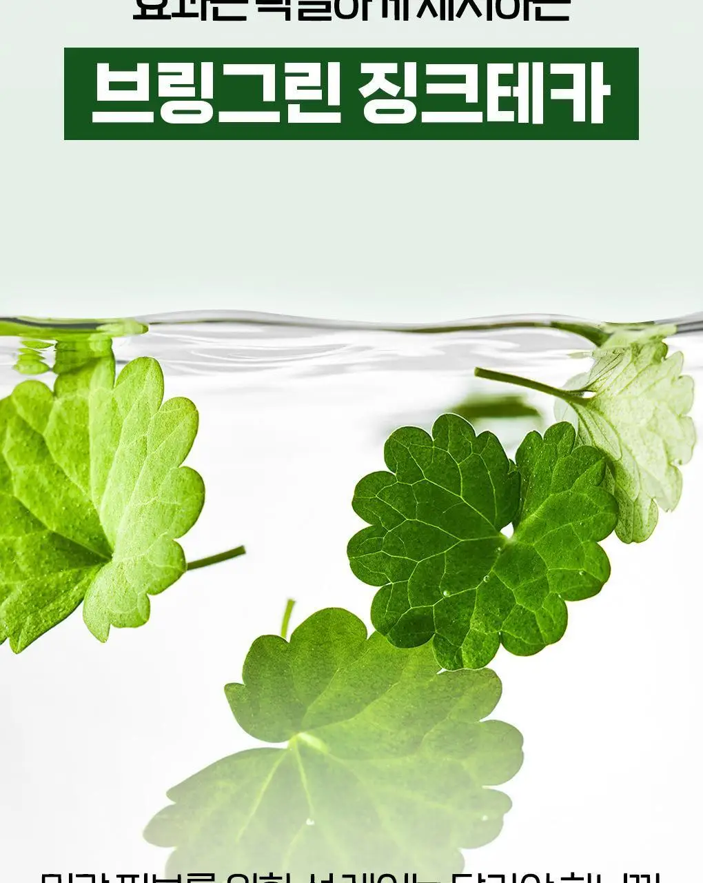 [포켓몬에디션/저자극파데프리] 브링그린 징크테카 파이토 BB 선 50mL(+BB선 20mL) 상세페이지 17